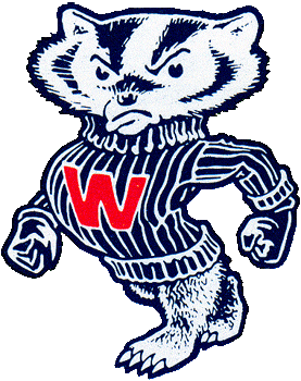 Wisconsin Badgers 1967-1990 Primary Logo diy DTF decal sticker